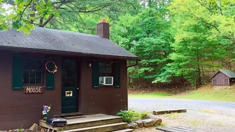 Moose Cabin — image 1 of 7