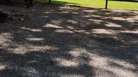 Off River 30 AMP RV Site — image 2 of 10