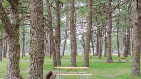 Primitive Tent Site — image 1 of 6