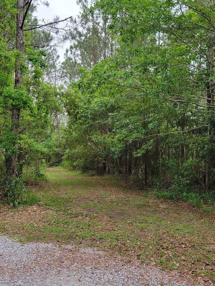 Bay Hide Away RV Park and Campground, Bay St. Louis, Mississippi - Photo 4