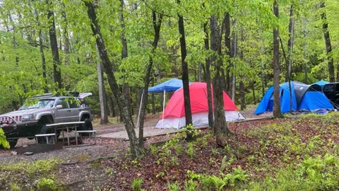 Tent Site — image 1 of 3