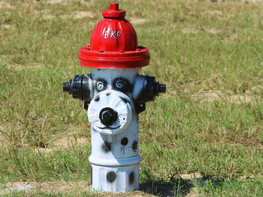 Hometown RV Park, Bald Knob, Arkansas - Photo 5