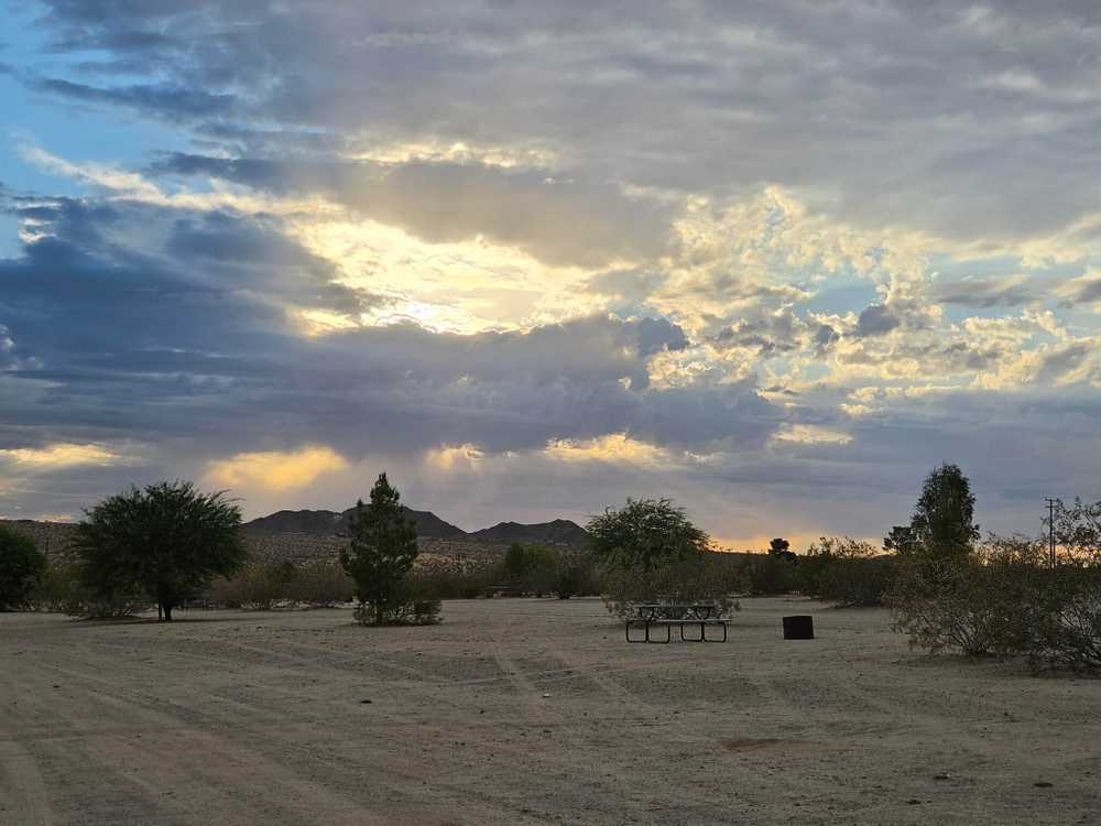 Joshua Tree Lake RV and Campground - Joshua Tree, CA - Photo 5