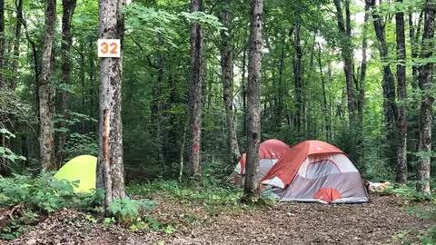 Wilderness Tent — image 2 of 40