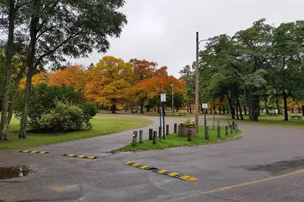 Tourist Park Campground – photo 4