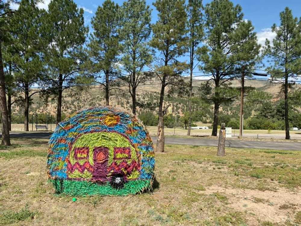 Slow Play RV Park - Photo 2