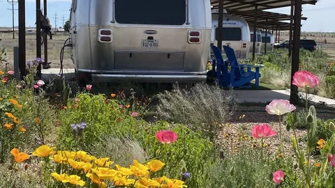 Canopied Pull-Through Full-Hookup RV Site — 11 ft Height Limit — image 6 of 6