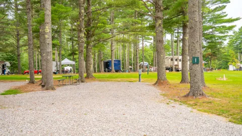 50 Amp Full Hook-Up Back-In RV Site — image 1 of 4