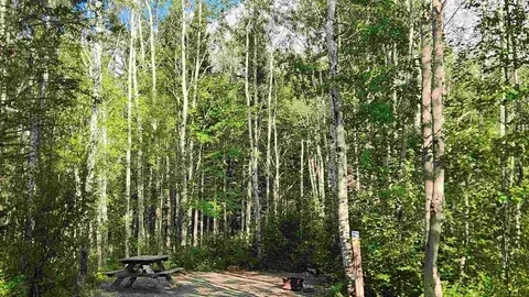 Loop Road Back-In RV Site — image 1 of 1