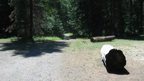Large Tent Site — image 2 of 8