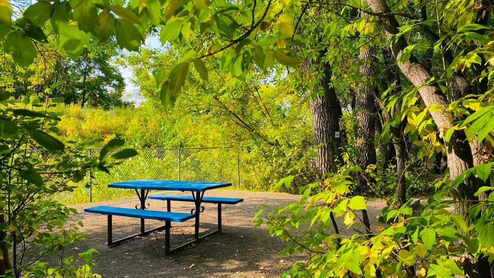 River Grove Campground and Cabins, Drumheller, Alberta - Photo 2