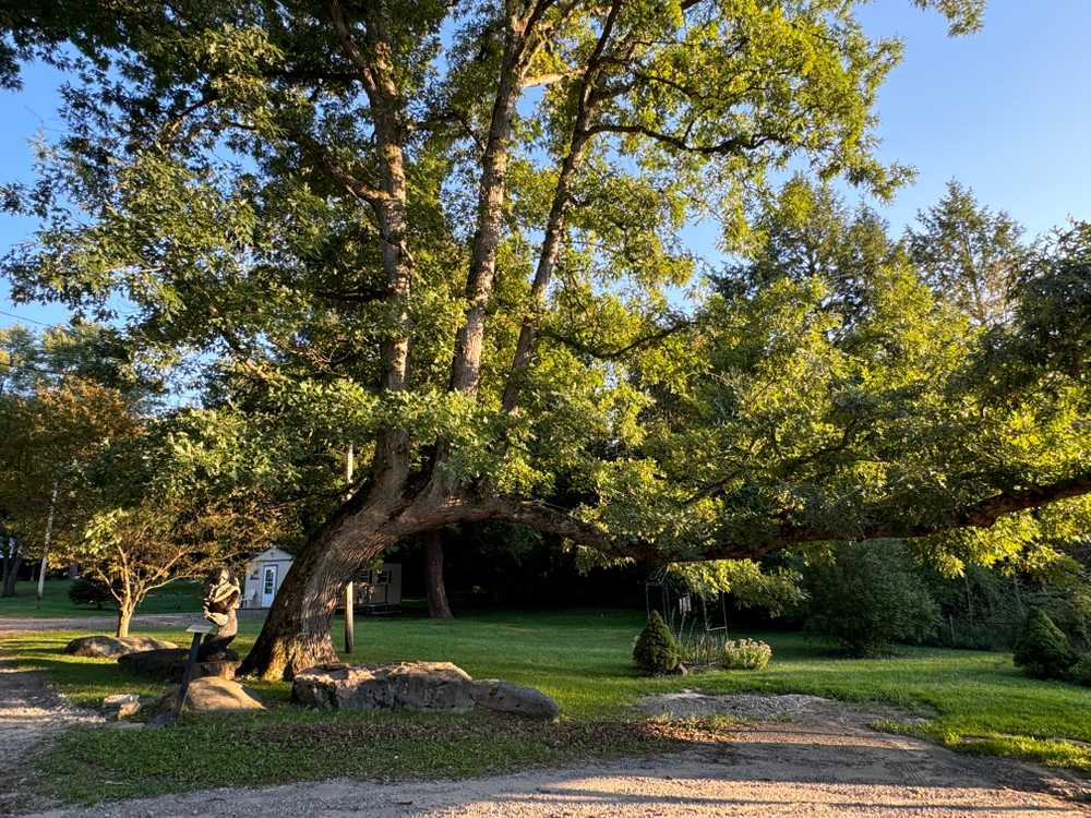 Park Image 10