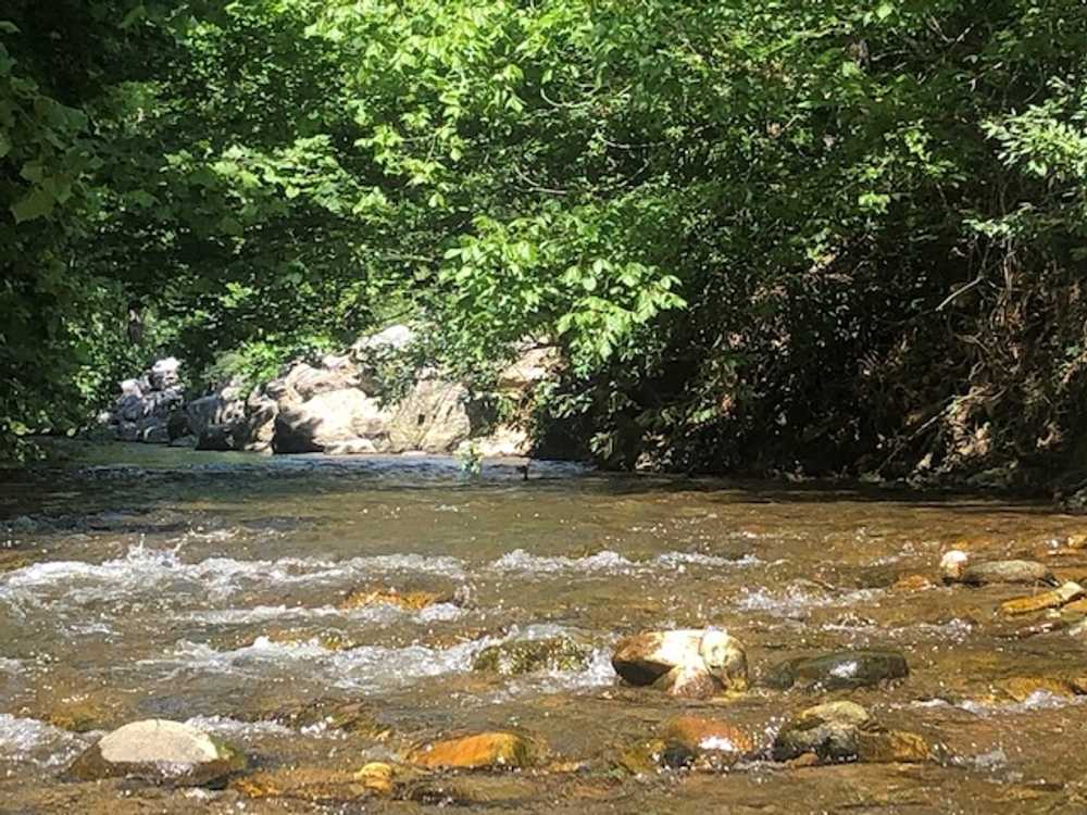 Park Image 9