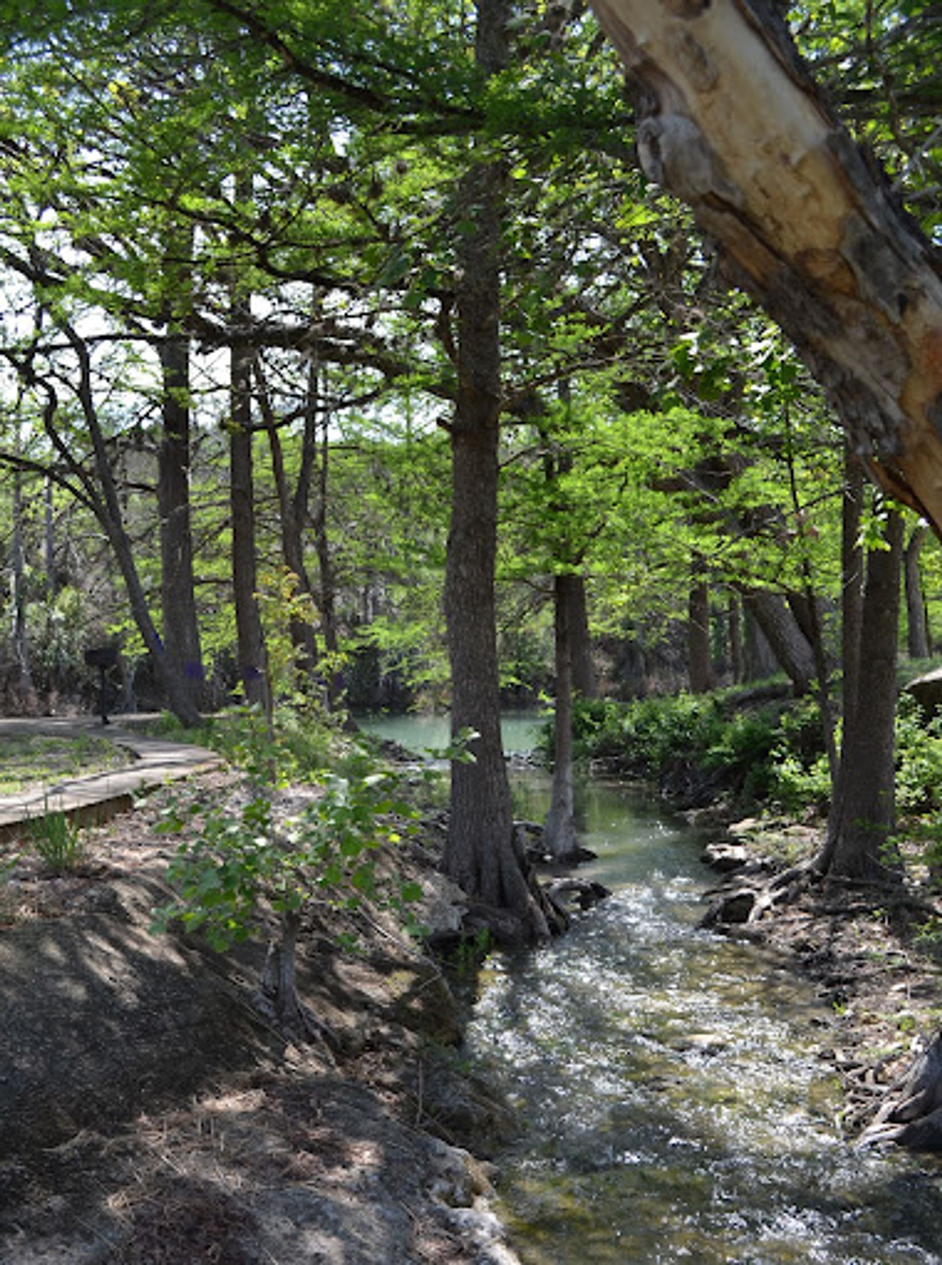 Blue Oak RV Park