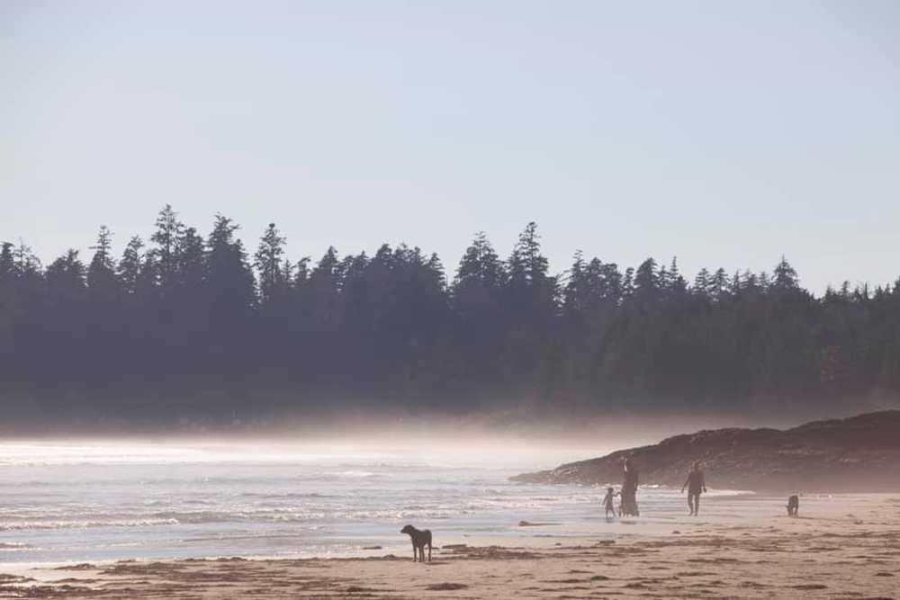 Park Image 7