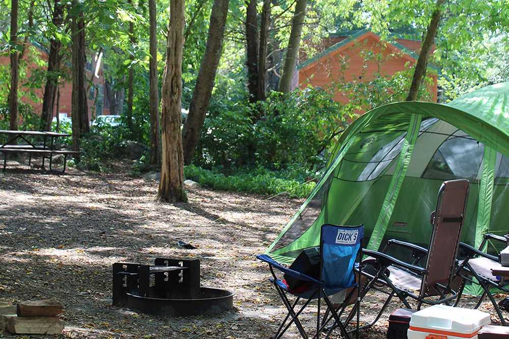 Standard RV/Tent Site
