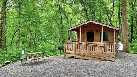 Cozy Cabin — image 2 of 10