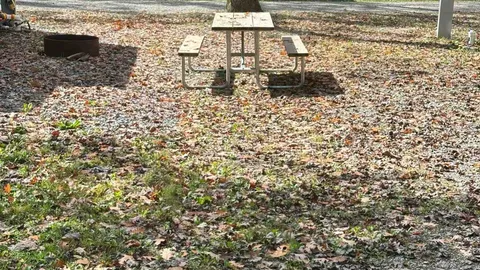 Standard 50 Amp RV Sites — image 2 of 8