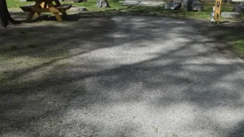 Back-in Deluxe Long RV Site — image 2 of 15