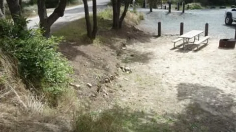 Brown Tent Site — image 1 of 8
