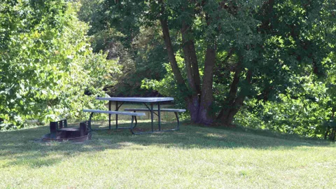 Primitive Tent Site — image 2 of 4