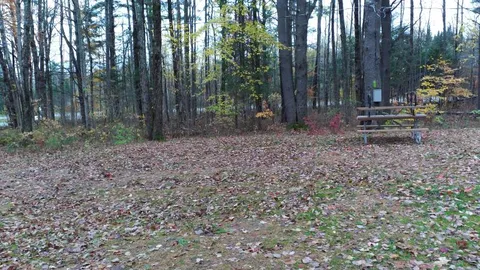 Tent Site — image 2 of 8