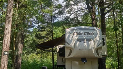 RV Back -In — image 1 of 1