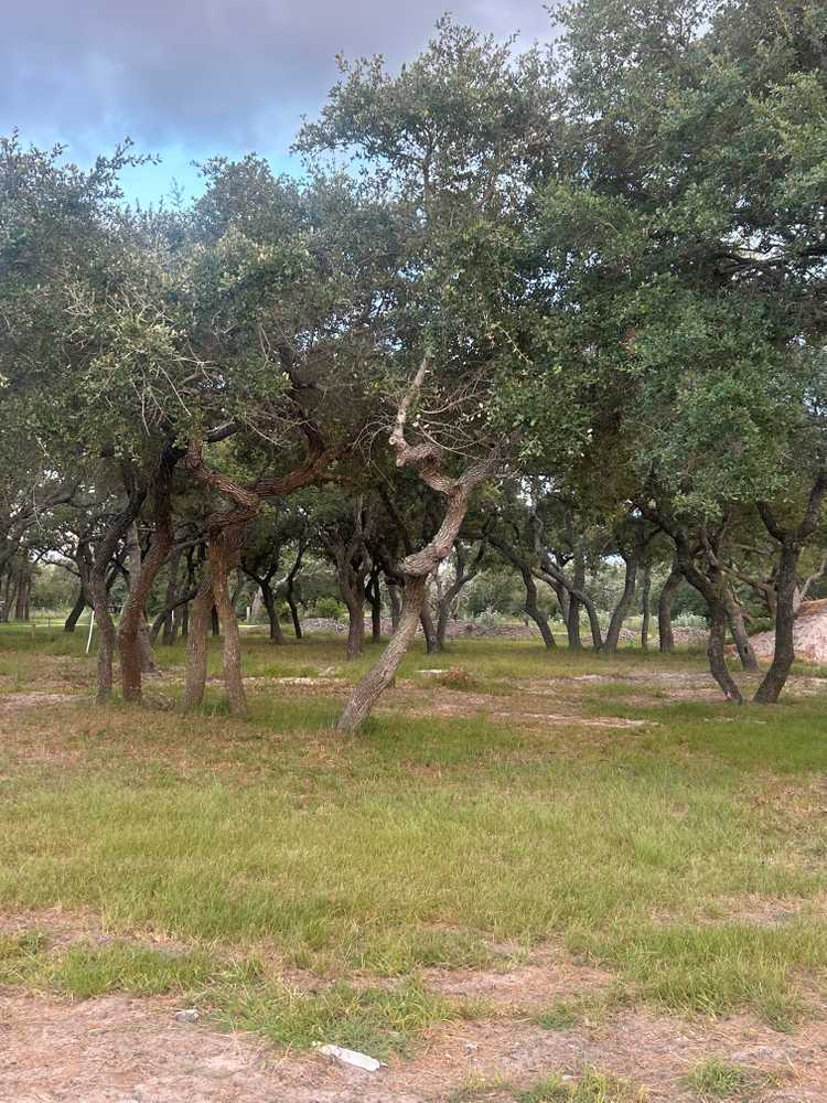 Alluring Oaks RV Park, Rockport, Texas - Photo 4