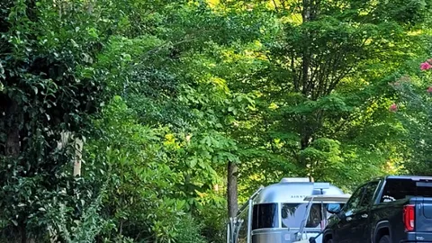 Full Hookup Branch Backin (4WD REQUIRED) (#3) — image 1 of 4