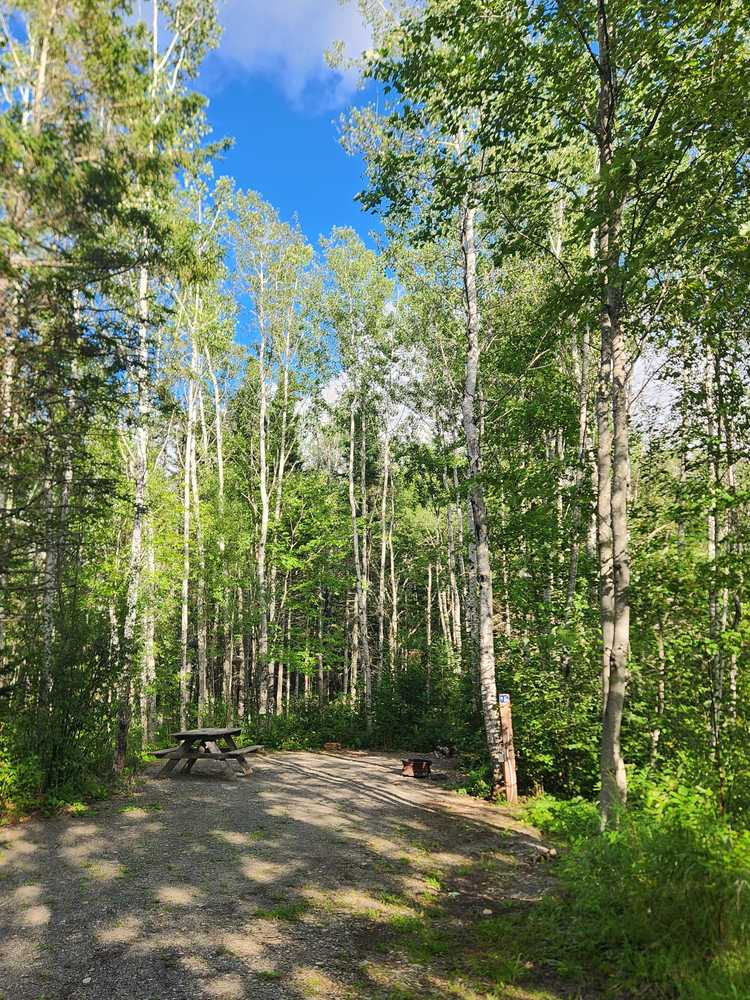 Riverbend Wilderness Camping - Photo 4