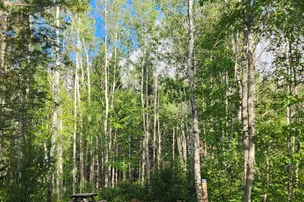 Riverbend Wilderness Camping – photo 4
