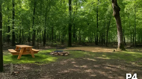 Primitive Tent Site — image 8 of 8