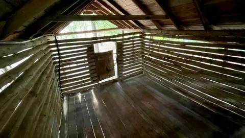 Tree House — image 2 of 9