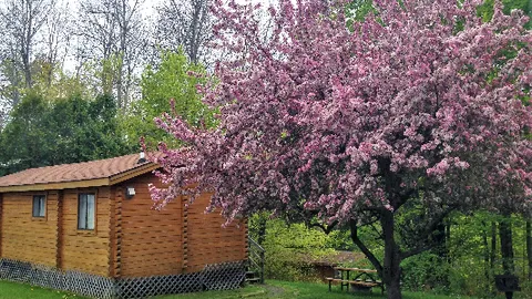Deluxe 6 Person Cabin — image 1 of 1