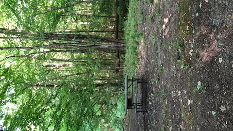 Tent site/small pop up - Water and 110V electric only — image 1 of 4