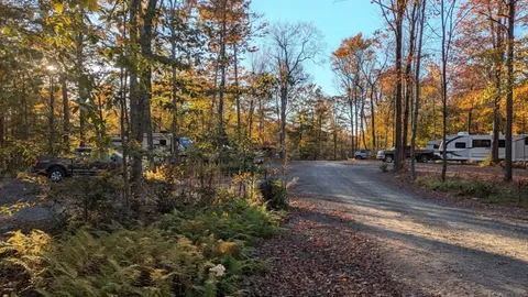 Woods — image 1 of 1
