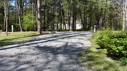 Premium Off River Full Hookup RV Site — image 1 of 10