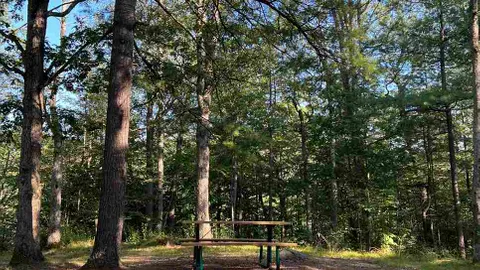 Medium Tent Site — image 1 of 1