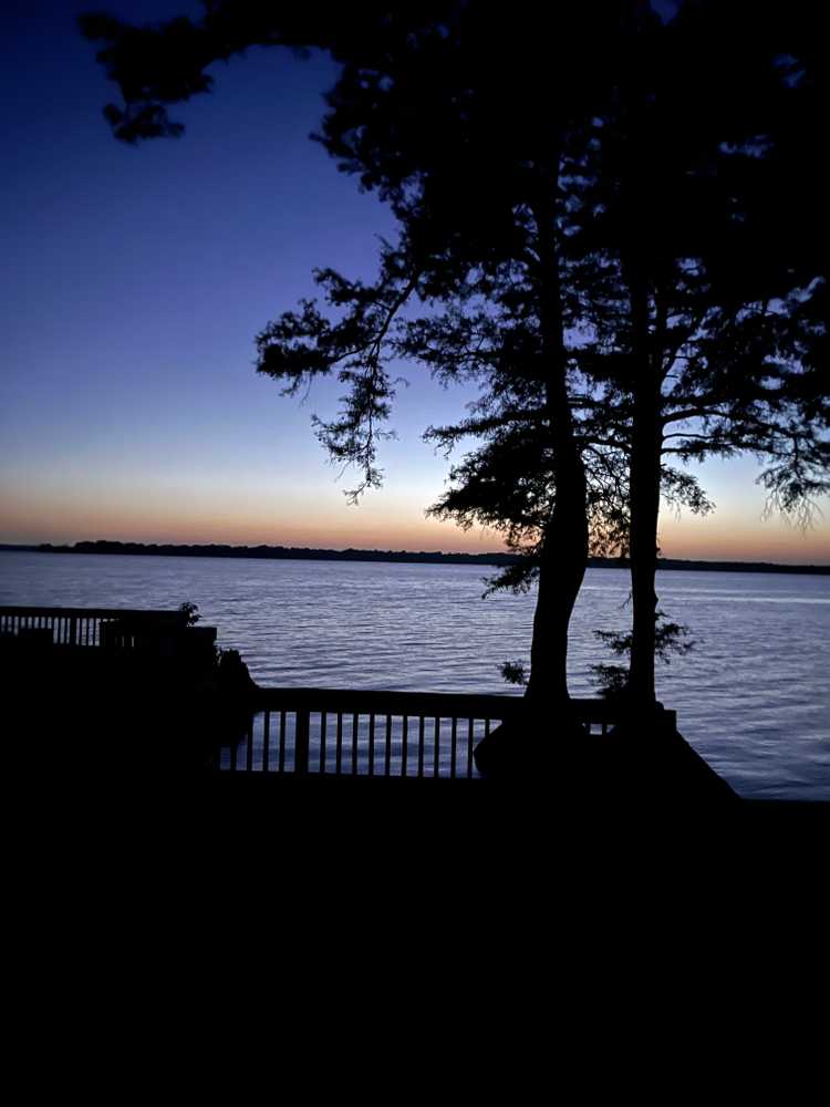The Duck Veil LLC, Hornbeak, Tennessee, USA - Photo 4