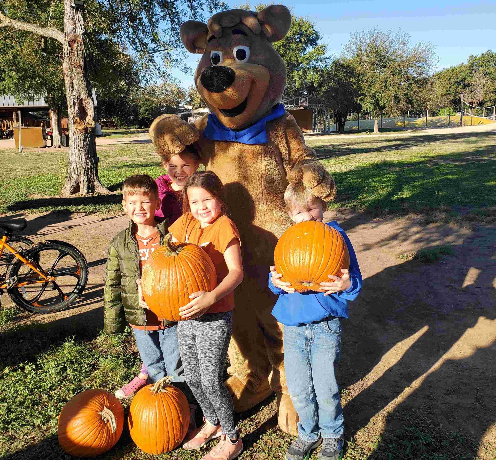 Yogi Bear's Jellystone Park™ Camp-Resort: Fredericksburg