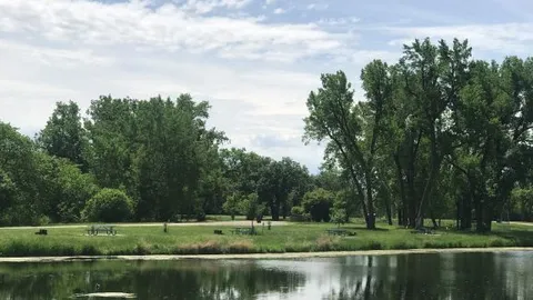 Primitive Site — image 1 of 19