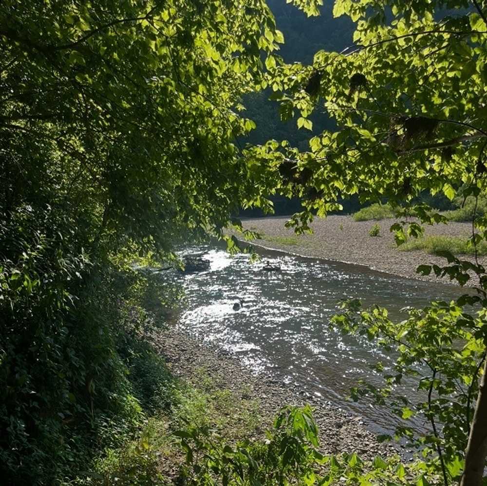 Roaring River Retreat, Gainesboro, Tennessee - Main Photo