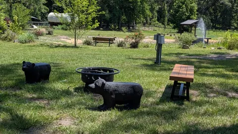RV Pond View — image 2 of 2
