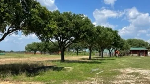 Premium Pull-Through Shaded RV Site — image 1 of 1