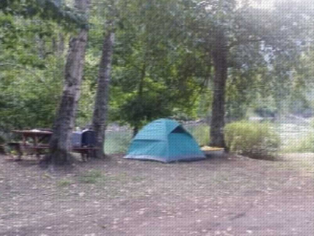 Family Tree Riverside RV and Campground - Sicamous, BC - Photo 2