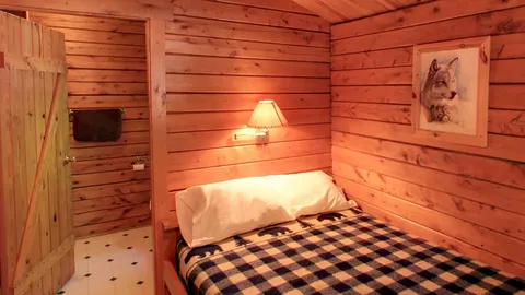Cozy Cabin — image 2 of 12