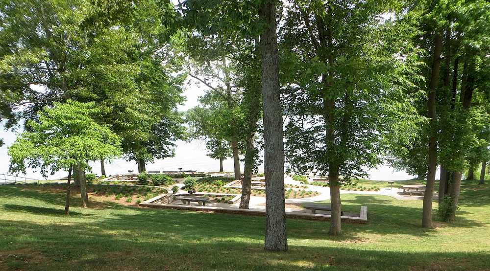Douglas Headwater Campground - Photo 3