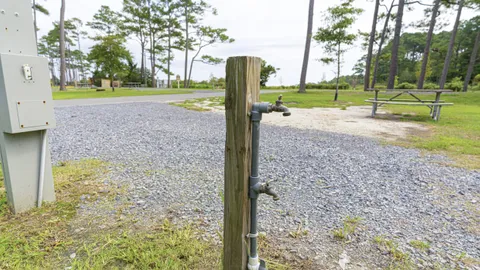 Standard Water and Electric Back-In RV Site — image 2 of 12