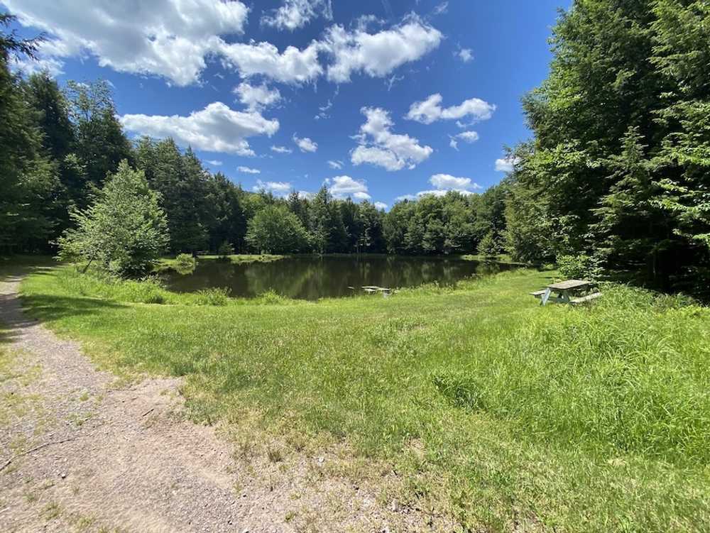 Willowemoc Campground - Livingston Manor, NY - Photo 2