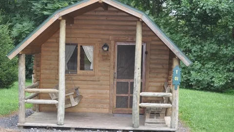 1 Room Pet Friendly Primitive Cabin — image 1 of 4